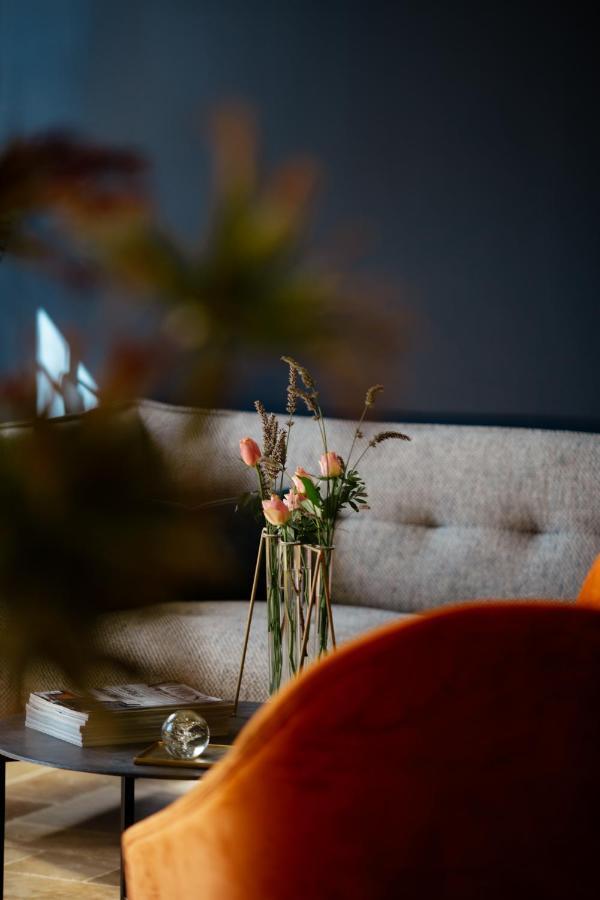 Hotel Domaine De La Limetiere Neuvy-le-Roi Zewnętrze zdjęcie